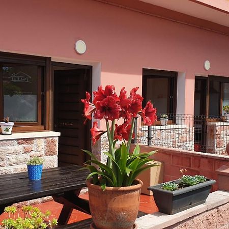 Apartamentos Fermin Cangas de Onís Exterior photo